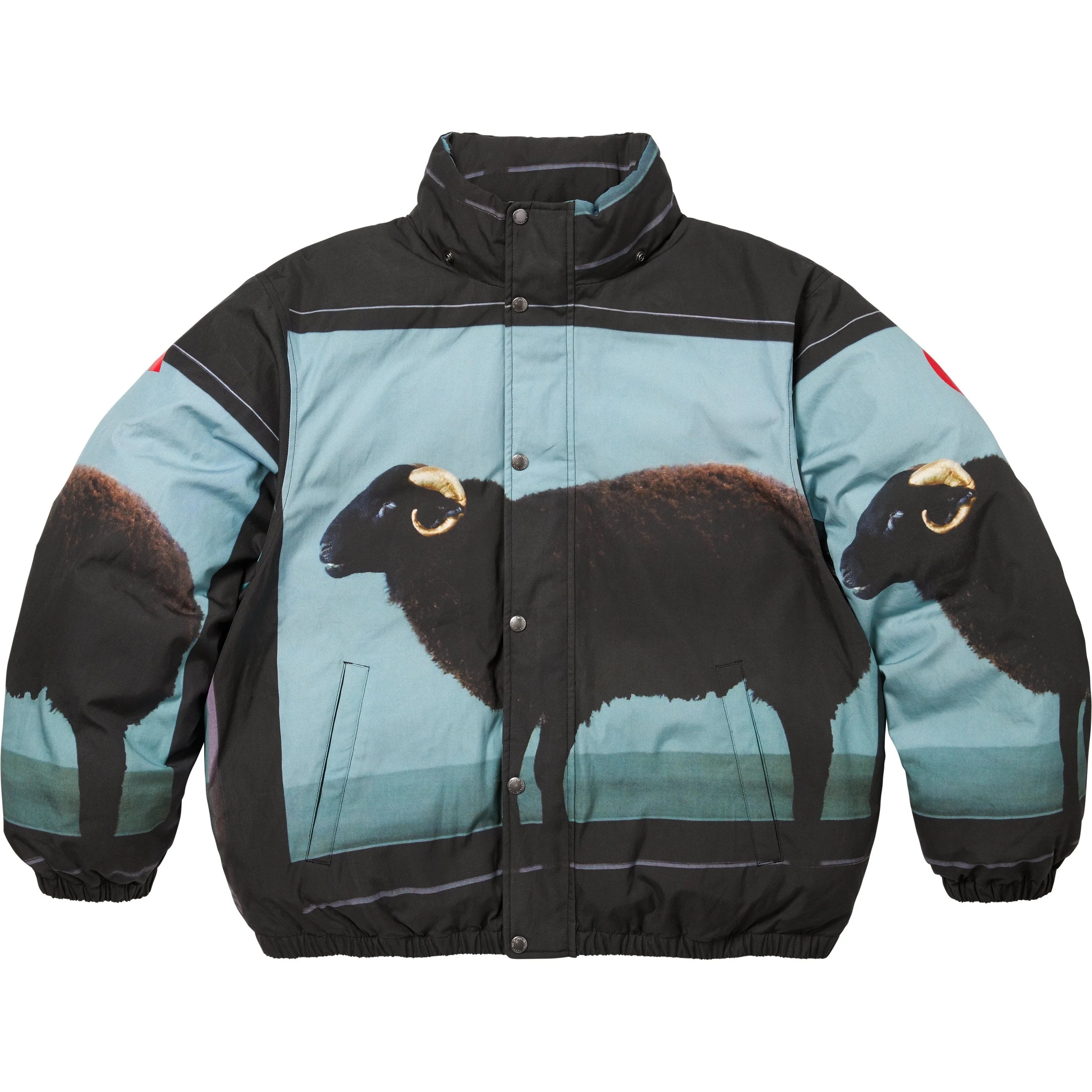 Supreme/Damien Hirst Down Puffer Jacket view 6